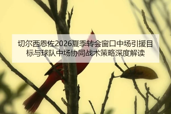 qie-er-xi-en-zuo-xia-ji-zhuan-hui-chuang-kou-zhong-chang-yin-yuan-mu-biao-yu-qiu-dui-zhong-chang-xie-tong-zhan-shu-ce-2-373.jpg